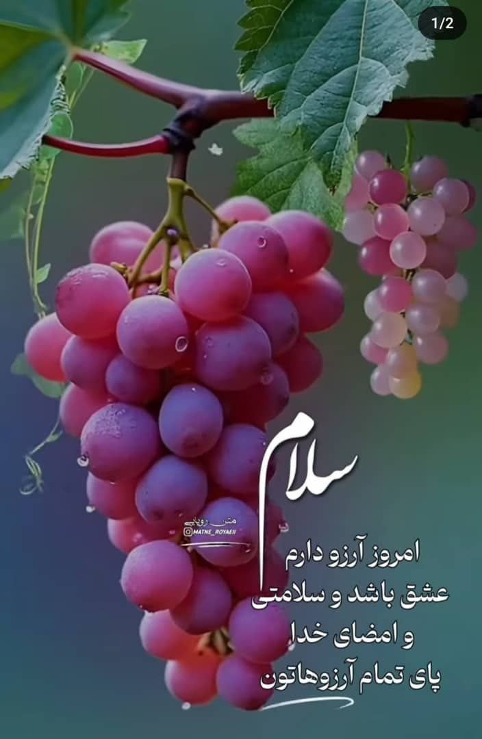 قماش بذرپیشه